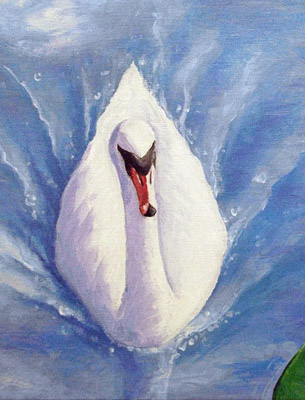 The Swan